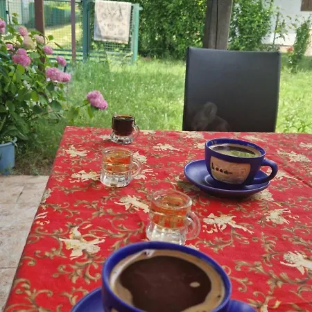 Vikendica Garic Апартаменты